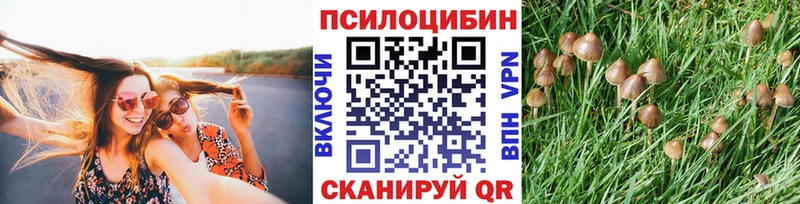 Псилоцибиновые грибы GOLDEN TEACHER  Шумиха 